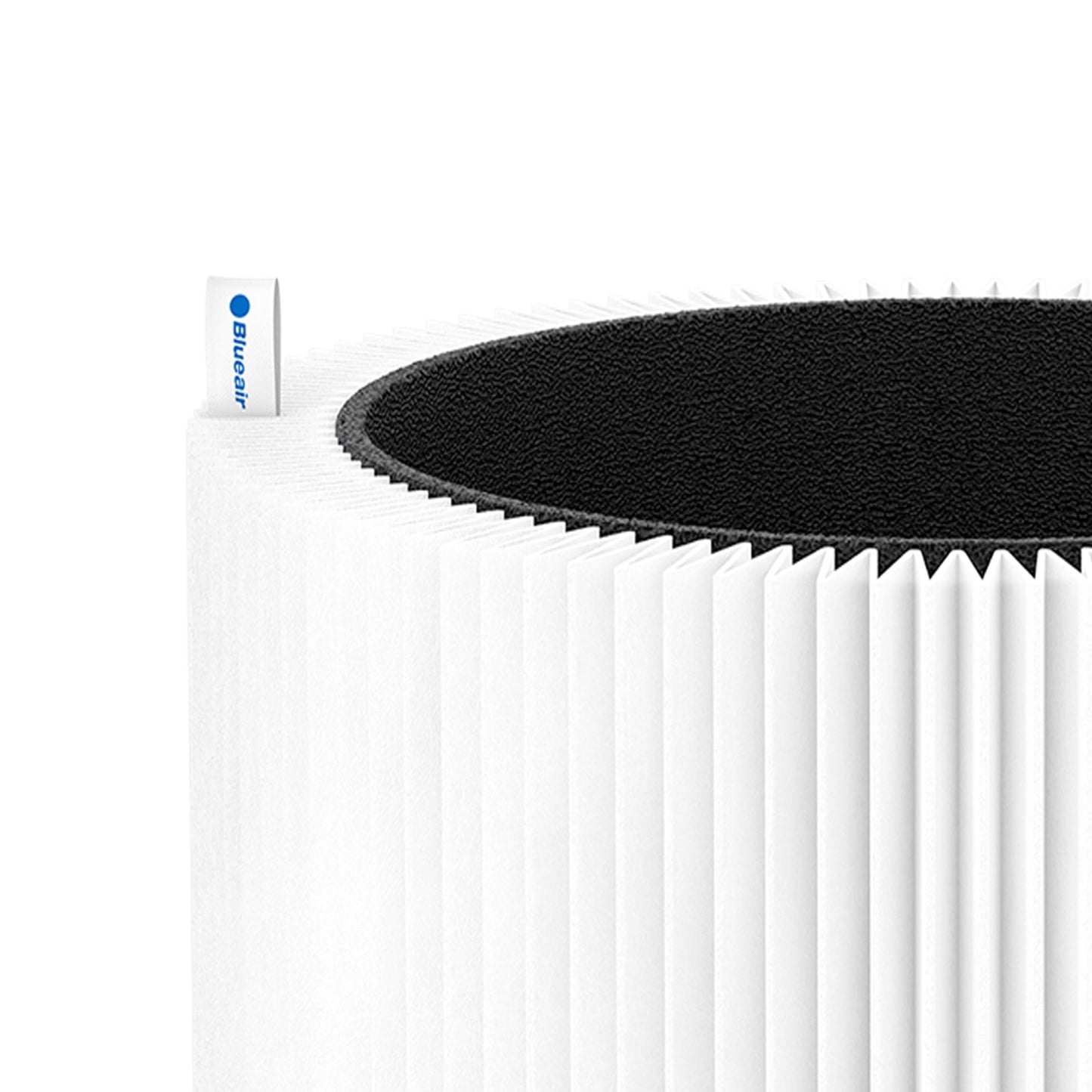Blue Pure 411 & 3210 Replacement Combination Filter