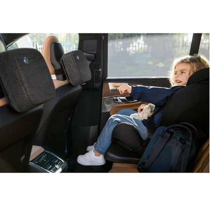 Blueair Cabin Particle+Carbon Filter