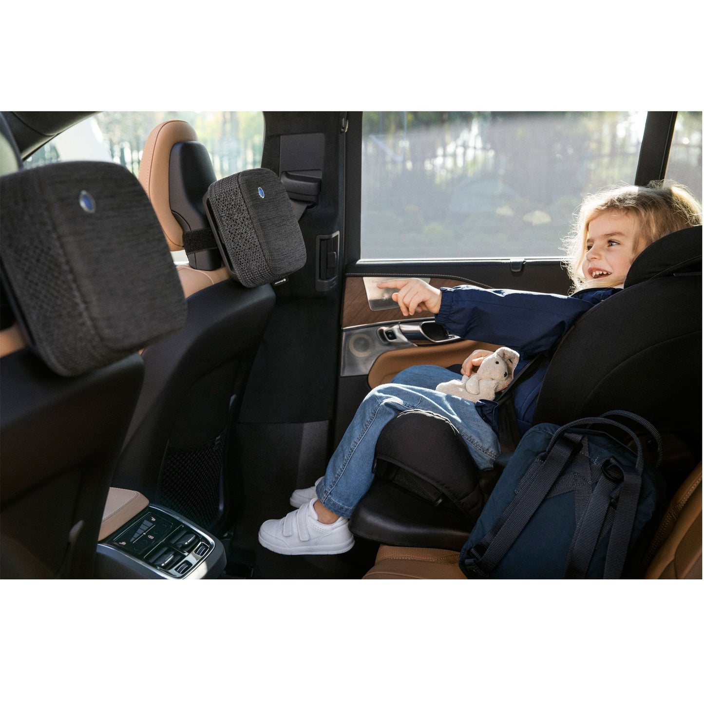 Blueair Cabin Particle+Carbon Filter