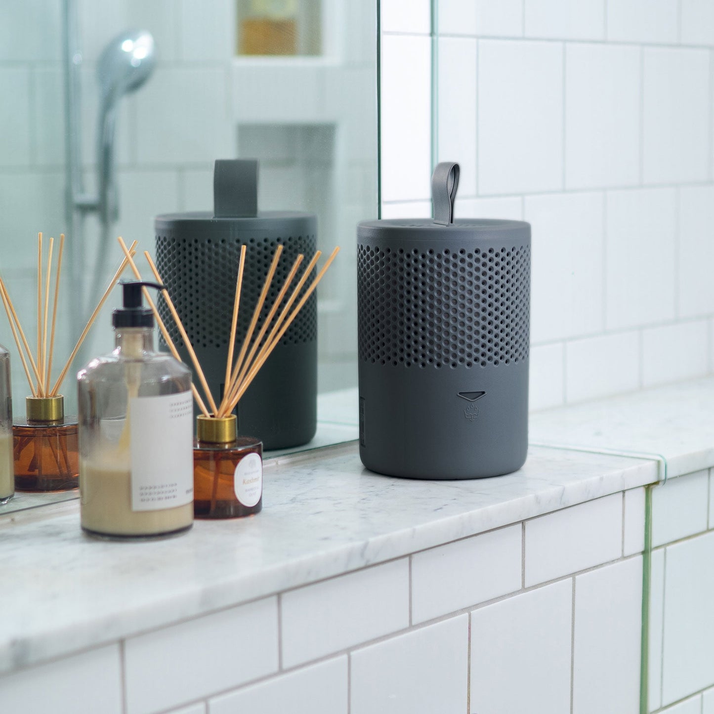 Absodry 6 Duo Moisture Absorber