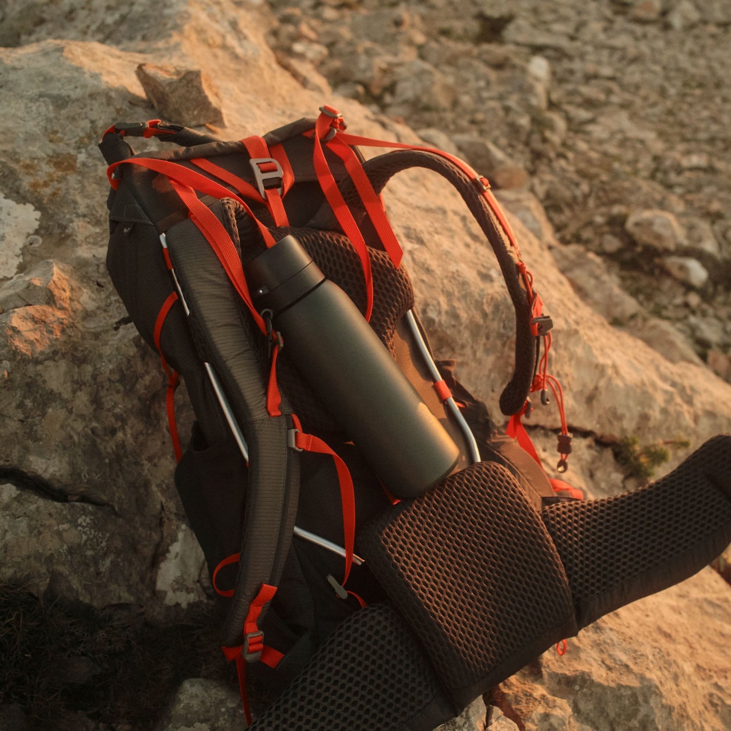 Tappwater Bottle Pro Adventure.