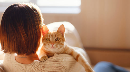Best air purifiers for pet allergies