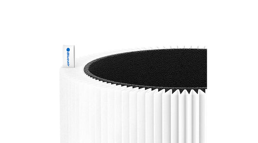 What Is a HEPA Filter and Do You Really Need One?