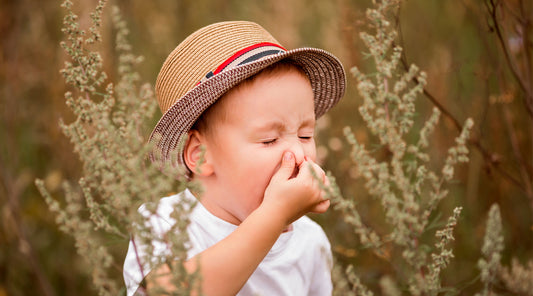 How to choose an air purifier for Hayfever Relief