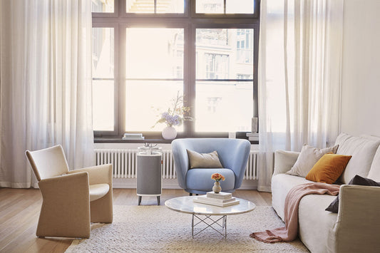 Choosing the correct  air purifier