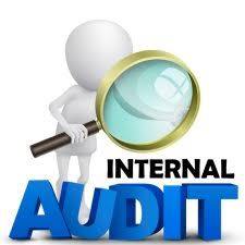 White Figure Looking Through Magnifying Glass at "Internal Audit" Text