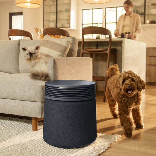 Blue Signature Midnight