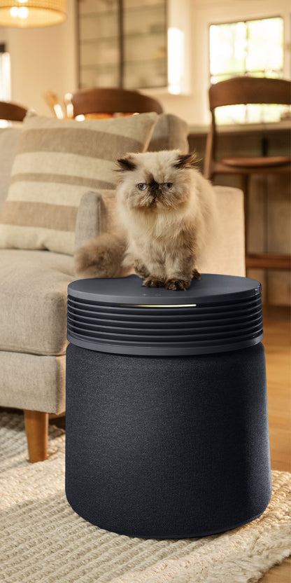 Blue Signature Midnight